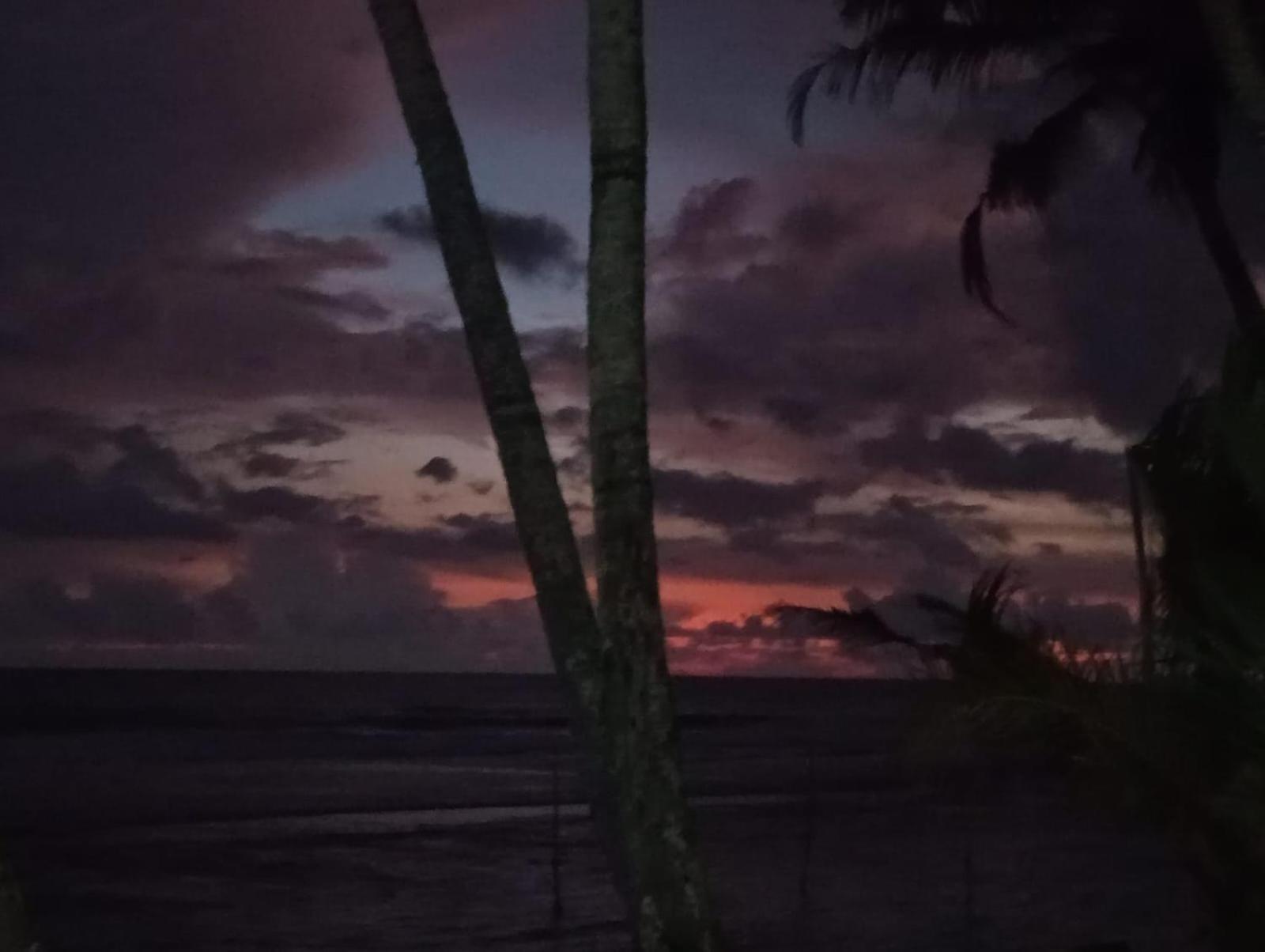 Turtle Eco Beach マータラ エクステリア 写真