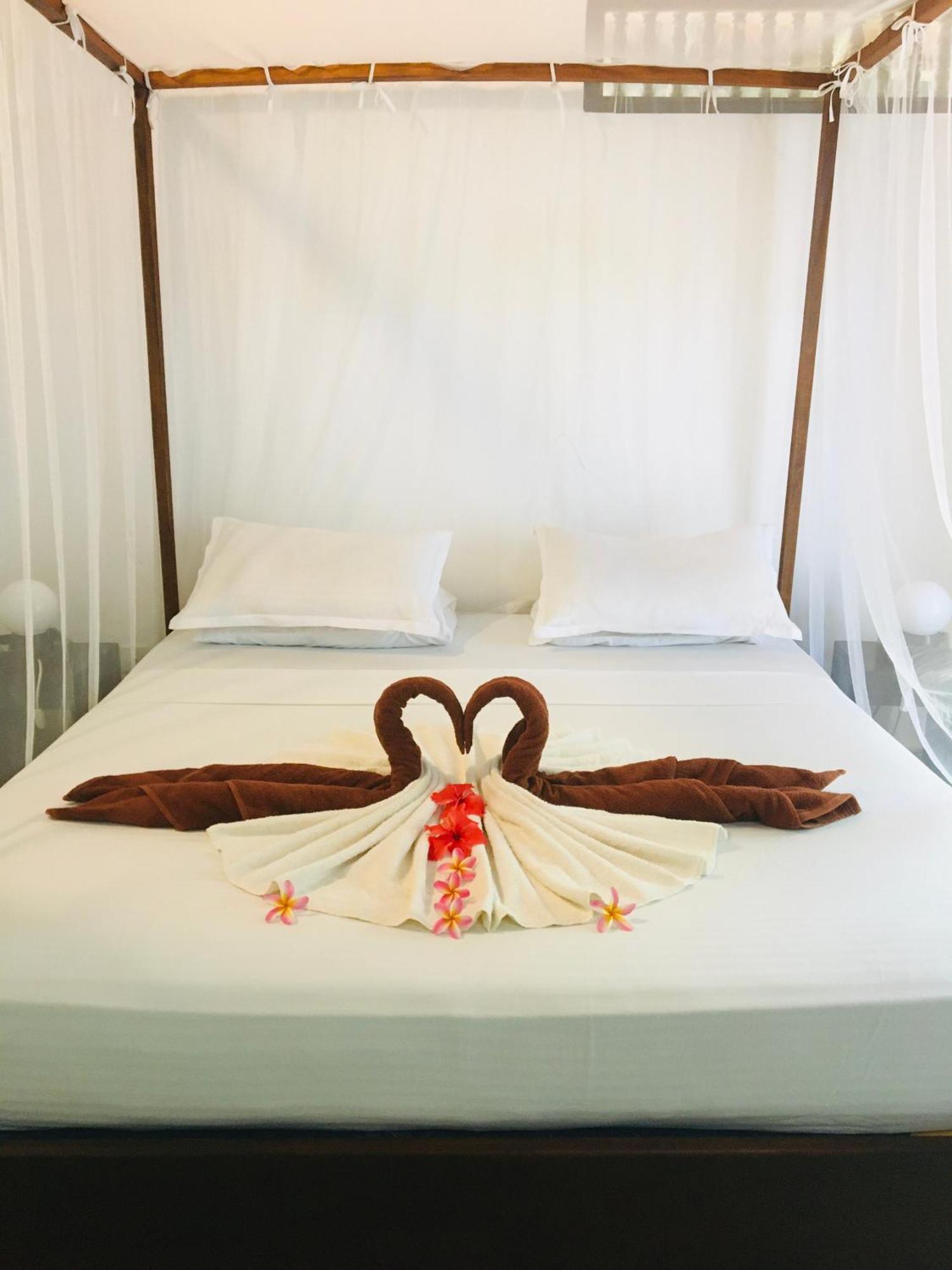 Turtle Eco Beach マータラ エクステリア 写真