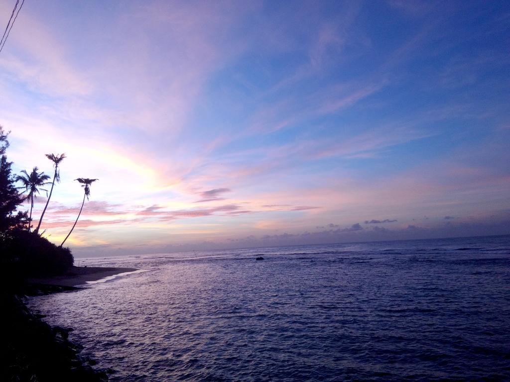 Turtle Eco Beach マータラ エクステリア 写真